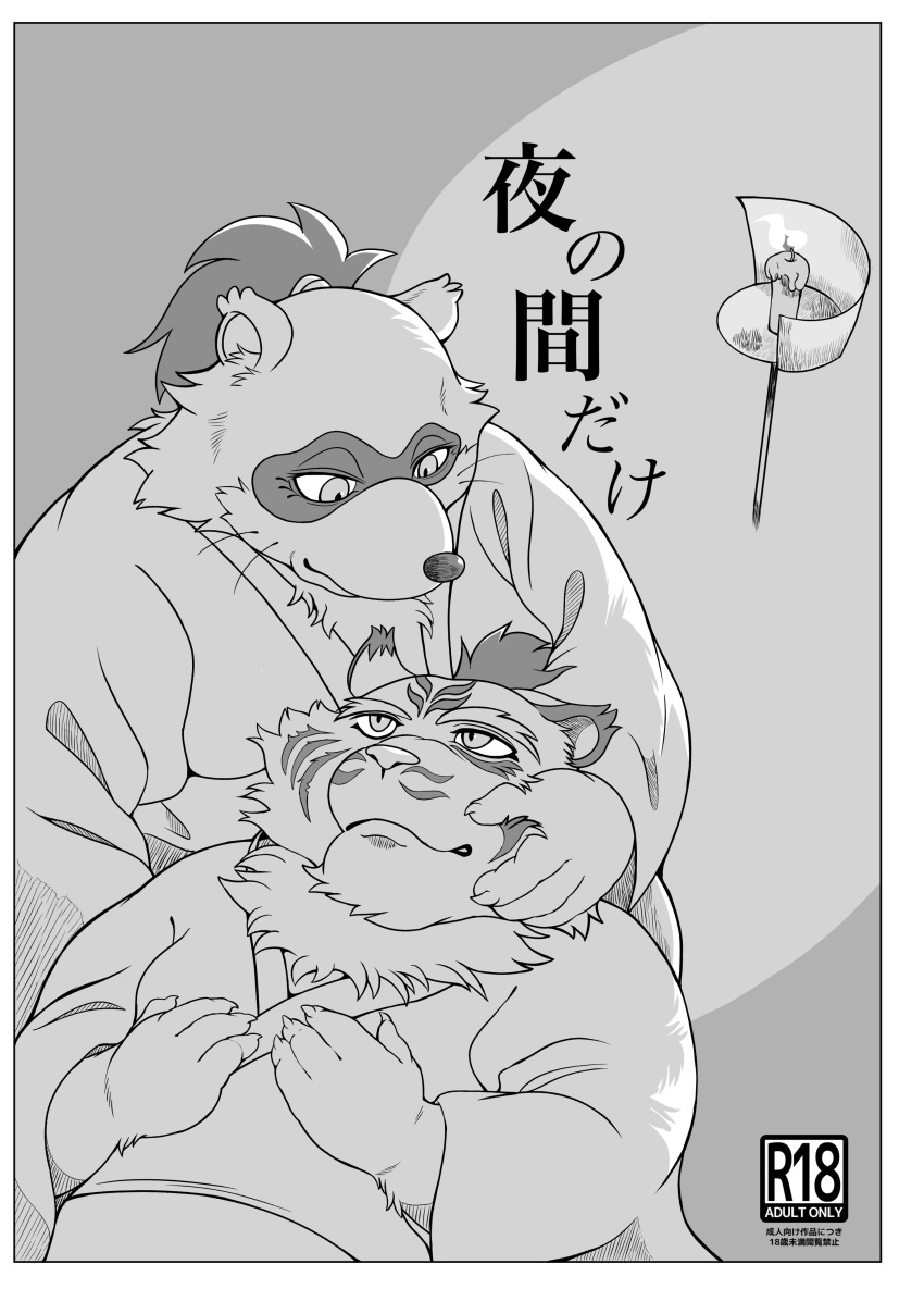2023 absurd_res anthro candle canid canine cover duo felid hi_res humanoid_hands hysk japanese_text kemono male mammal overweight overweight_male pantherine raccoon_dog sengoku_puzzle tanuki text tiger tokugawa_ieyasu