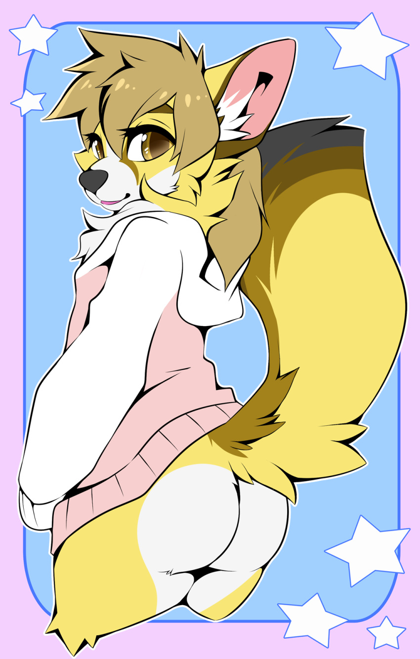 anthro audri brown_body brown_eyes brown_fur butt canid canine canis clothed clothing domestic_dog female fennec fox fur herding_dog hi_res hoodie mammal pastoral_dog slushie-nyappy-paws solo topwear welsh_corgi white_body white_fur yellow_body yellow_fur