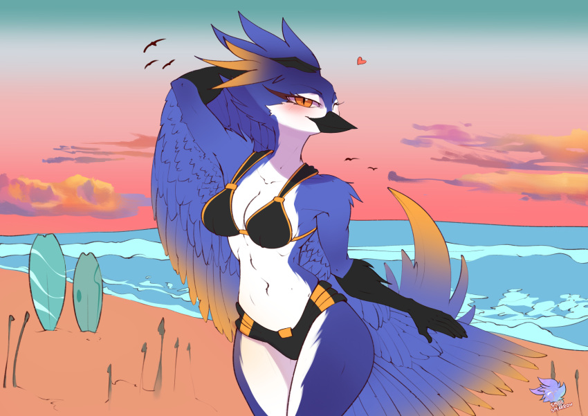 anthro arthropod_abdomen avian beach belly bikini bird blue_body bra clothing feathers female flat_colors gradient_fur harper(hatham) hi_res invalid_tag model_sheet navel one_eye_closed orangeeyes pose sea seaside smolspearrow solo sundown sunset swimwear tail_feathers two_piece_swimsuit underwear water wings wink