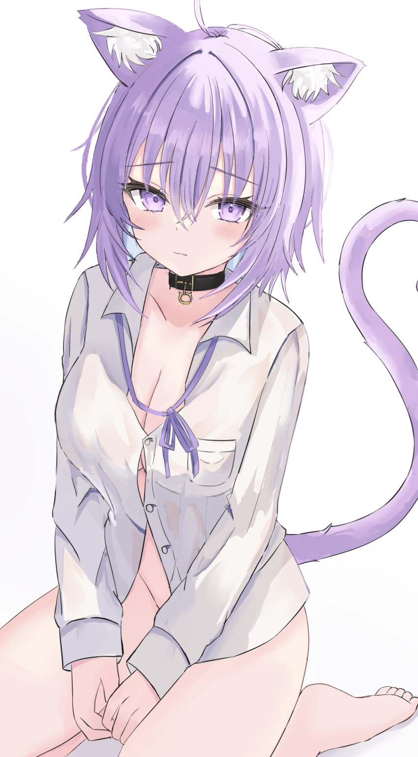 1girl absurdres ahoge animal_collar animal_ear_fluff animal_ears barefoot black_collar blue_hair blush breasts cat_ears cat_girl cat_tail cleavage collar colored_inner_hair commentary highres hololive large_breasts long_sleeves looking_at_viewer multicolored_hair naked_shirt nekomata_okayu nekomata_okayu_(4th_costume) official_alternate_costume purple_eyes purple_hair purple_ribbon revision ribbon shirt short_hair solo tail tamamorh virtual_youtuber white_shirt