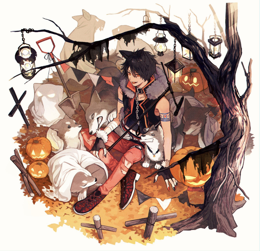 1boy animal_ears arm_tattoo bandaged_arm bandages black_gloves black_hair black_nails black_shirt fingerless_gloves from_above fur-trimmed_gloves fur-trimmed_jacket fur_trim gloves halloween highres iv_4t jack-o'-lantern jacket lantern multicolored_nails nijisanji pants pumpkin red_eyes red_footwear red_nails red_pants shirt sitting sleeveless sleeveless_jacket solo tattoo torn_clothes torn_pants tree virtual_youtuber wolf wolf_ears yumeoi_kakeru