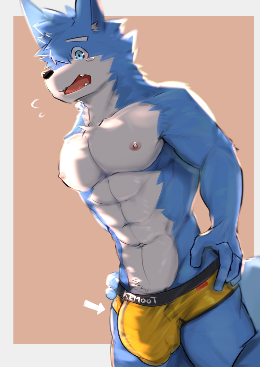 abs absurd_res anthro asleepchef balls_outline biceps blue_body blue_eyes briefs briefs_only bulge canid clothed clothing detailed_bulge genital_outline hair hi_res male mammal multicolored_body muscular muscular_male nipples pecs penis_outline solo topless underwear underwear_only