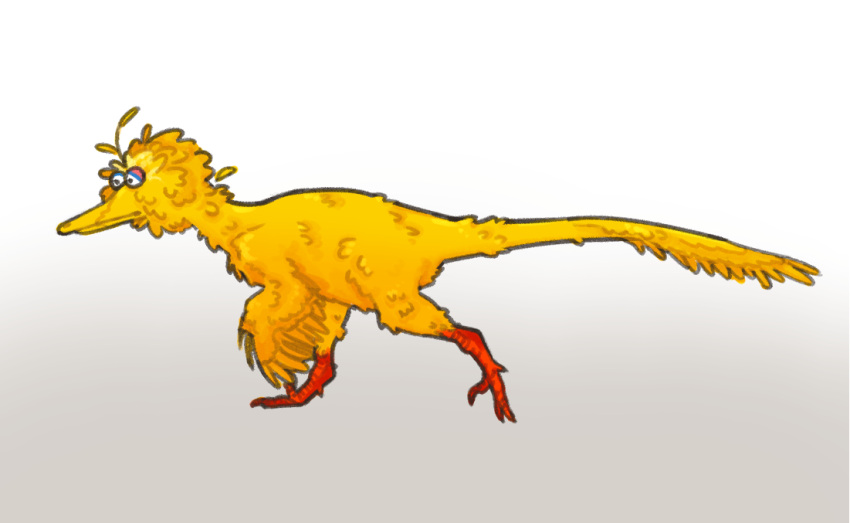 4_toes avian big_bird detectivebrony dinosaur dromaeosaurid feathered_dinosaur feathers feet feral hybrid male orange_body orange_legs orange_scales orange_skin reptile running scales scalie sesame_street simple_background solo theropod toes utahraptor white_background yellow_body yellow_feathers