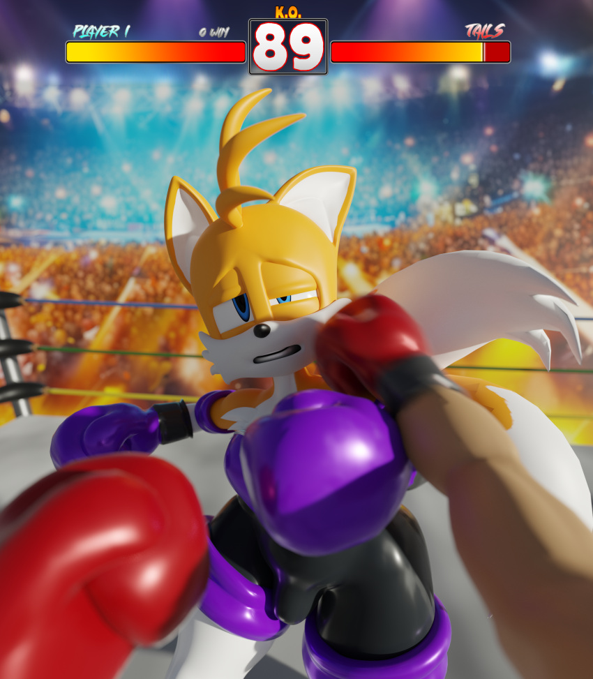 3d_(artwork) absurd_res anthro armwear boxing boxing_gloves bulge canid canine clothed clothing crossdressing digital_media_(artwork) elbow_gloves fight first_person_view fox gameplay_mechanics girly glistening glistening_clothing gloves gui handwear health_bar hi_res latex legwear male mammal miles_prower punch rouge_the_bat sega solo sonic_the_hedgehog_(series) sport tailsltx thick_thighs thigh_highs tight_clothing