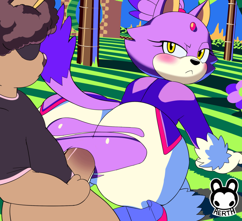 2023 aerth all_fours animated anthro artist_name black_nose blaze_the_cat blush clothing domestic_cat duo eyebrows felid feline felis genitals hi_res looking_back male male_penetrating_anthro mammal outside penis rear_view sega sex solo_focus sonic_the_hedgehog_(series) torn_clothing
