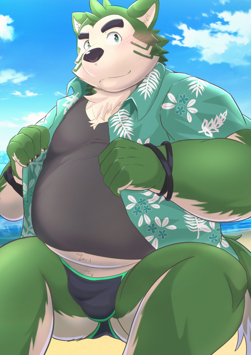 2023 absurd_res anthro belly big_belly black_nose blush bulge canid canine canis clothing cloud domestic_dog green_body hi_res humanoid_hands kemono lifewonders live_a_hero male mammal mokdai nazebesu_hobby outside overweight overweight_male shirt sitting solo swimwear topwear