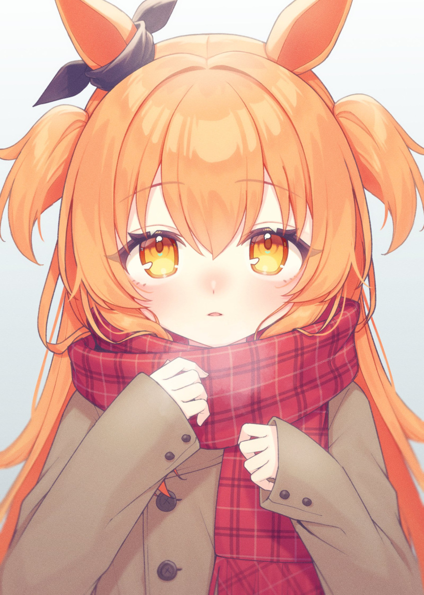 akagi_meito animal_ears blush breath brown_coat coat cold ear_ornament hair_between_eyes hair_intakes highres horse_ears horse_girl long_hair long_sleeves looking_at_viewer mayano_top_gun_(umamusume) nose_blush orange_eyes orange_hair parted_lips plaid plaid_scarf red_scarf scarf simple_background sleeves_past_wrists solo two_side_up umamusume upper_body white_background