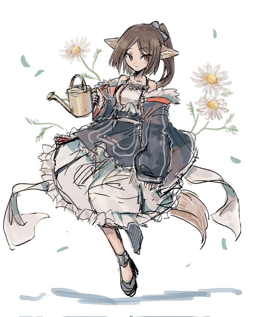 1girl animal_ears arknights bow brown_eyes brown_hair closed_mouth commentary dress flower fox_ears fox_girl fox_tail full_body fur-trimmed_jacket fur_trim hair_bow highres holding holding_watering_can jacket long_sleeves nataro_1116 open_clothes open_jacket perfumer_(arknights) petals ponytail simple_background sketch solo tail watering_can white_background white_flower