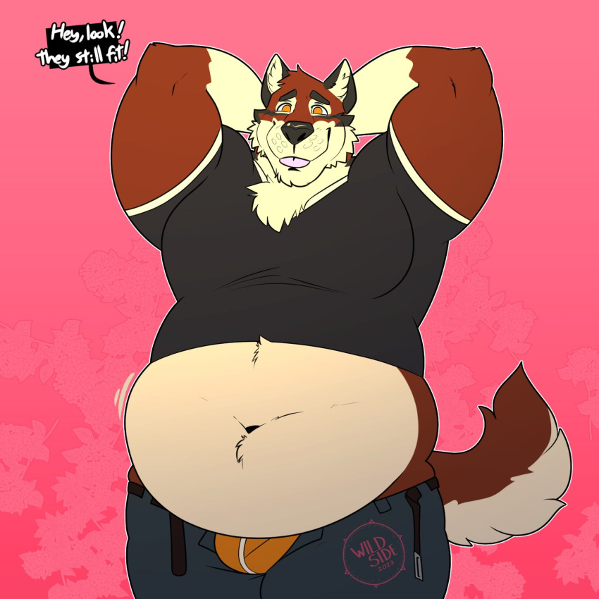 anthro belly belt big_belly black_clothing black_shirt black_topwear blep blue_bottomwear blue_clothing blue_jeans blue_pants bottomwear bulge canid canine canis chest_tuft clothing cream_belly denim denim_clothing dialogue echo_(game) echo_(series) echo_project english_text fur hand_behind_head hands_behind_head hi_res jeans leo_alvarez male mammal moobs multicolored_body multicolored_fur navel orange_clothing orange_eyes orange_underwear overweight overweight_anthro overweight_male pants pink_tongue red_body red_fur shirt solo speech_bubble tan_body tan_fur text tight_bottomwear tight_clothing tight_pants tight_shirt tight_topwear tongue tongue_out topwear tuft two_tone_body two_tone_fur unbuckled_belt underwear wildside wolf