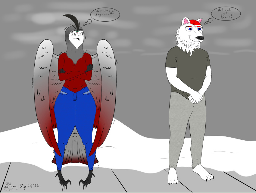 anthro avian barefoot bbear bear biped bird blue_bottomwear blue_clothing blue_jeans blue_pants bottomwear breasts claws clothed clothing curvy_figure dated denim denim_clothing digital_media_(artwork) duo feet female fingers fur gregg_(bbear) hair hi_res jeans male mammal neck_tuft owl pants polar_bear red_hair shaking shirt shivering signature simple_background smile snow standing sweater tail text thick_thighs thought_bubble toes topwear tuft ursine voluptuous wings winter