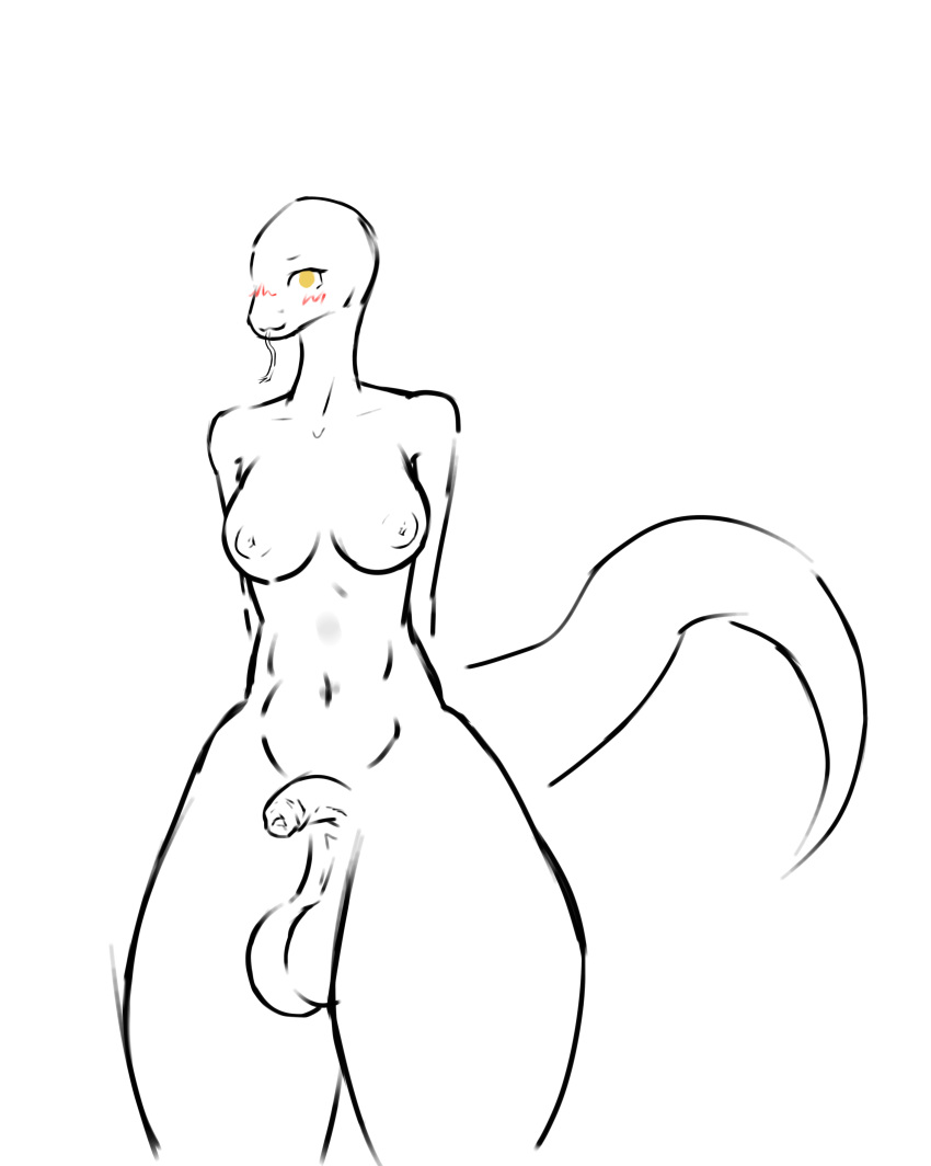 absurd_res anthro balls big_balls blush bra breasts clothing genitals hi_res intersex looking_at_viewer loxerzzz penis saggy_balls scalie sketch solo standing thick_thighs underwear