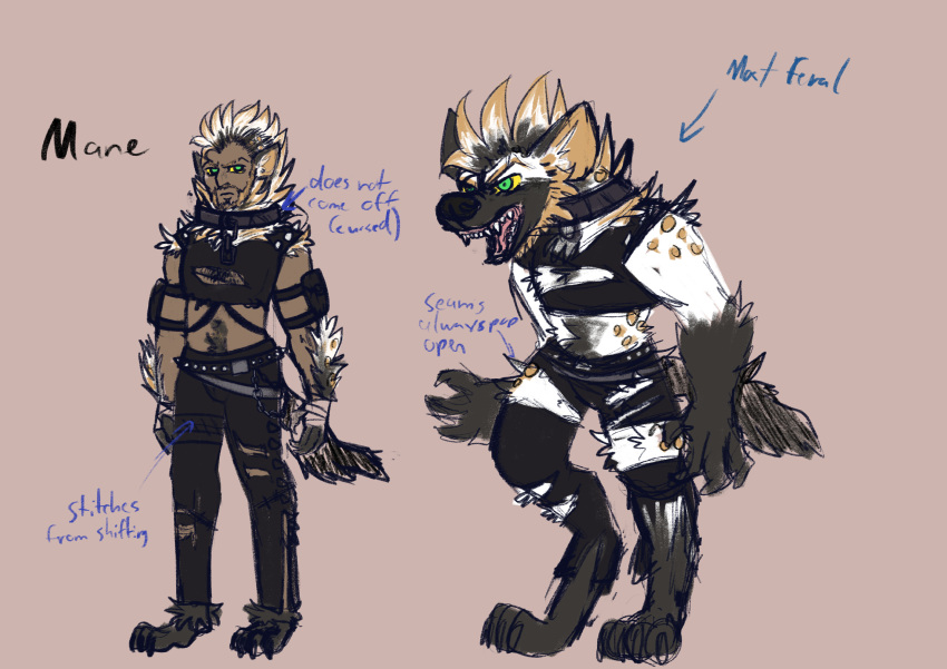 absurd_res black_body black_fur clothing dungeons_and_dragons fur green_eyes hasbro hi_res humanoid hyena male mammal mane refrence shifter sketch solo starseeker torn_clothing white_body white_fur wizards_of_the_coast