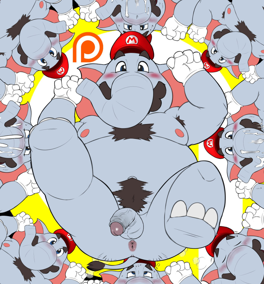 anthro anus areola balls barefoot big_ears blue_eyes blush bodily_fluids body_hair butt chest_hair clothing cum cum_on_face cum_on_trunk elephant elephant_mario elephantid eyebrows eyes_closed facial_hair feet fist flaccid foreskin genital_fluids genitals glistening glistening_eyes glistening_genitalia glistening_penis gloves grey_balls grey_ears grey_nose grey_penis group half-closed_eyes handwear happy hat headgear headwear hi_res huge_ears humanoid_genitalia humanoid_penis logo long_nose looking_at_viewer looking_pleasured looking_up lying male mammal mario mario_bros moobs multicolored_penis mustache narrowed_eyes navel nintendo nipples nude on_back orgasm orgasm_face overweight overweight_anthro overweight_male patreon penis pink_anus pink_ears pink_penis presenting presenting_anus presenting_balls presenting_hindquarters presenting_penis proboscidean proboscis_(anatomy) pubes raised_eyebrows raised_leg seyrmo simple_background smile smiling_at_viewer super_mario_bros_wonder sweat trunk_(anatomy) vein veiny_penis white_background yellow_background