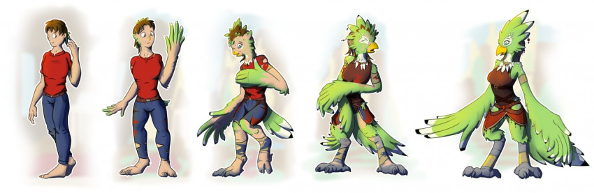 anthro avian beak beak_growth blue_eyes breast_growth breasts brown_eyes brown_hair clothed clothing colored feather_growth feathers female gender_transformation green_body green_feathers growth hair human male mammal medium_breasts mtf_transformation nintendo rito schmen sequence solo species_transformation surprised_expression the_legend_of_zelda transformation wing_growth wings