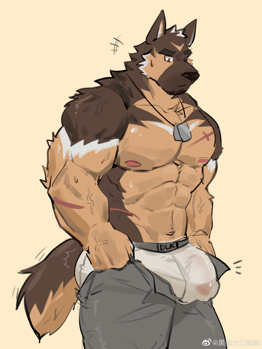 1boy abs absurdres animal_ears ass ass_lift bara bouncing_ass bouncing_bulge boxers brown_fur bulge bulge_lift covered_penis dog_boy dog_ears dog_tags dog_tail dressing facial_hair feet_out_of_frame goatee grey_pants highres i've_never_seen_a_guy_recreate_this_successfully_tbh_(meme) large_bulge large_pectorals looking_at_bulge male_focus male_underwear mature_male meme muscular muscular_male navel nipples open_pants original pants pants_lift pectorals run_(arun_six) scar scar_on_arm scar_on_chest see-through short_hair sideburns solo stomach sweat sweatdrop tail thick_eyebrows thick_thighs thighs topless_male undersized_clothes underwear veins veiny_arms wet wet_clothes wet_male_underwear white_male_underwear