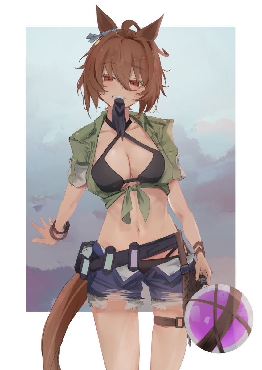 1girl absurdres agnes_tachyon_(lunatic_lab)_(umamusume) agnes_tachyon_(umamusume) ahoge animal_ears bandolier bikini black_bikini border bracelet breasts brown_hair cleavage commentary cowboy_shot criss-cross_halter denim denim_shorts ear_ornament flask gloves green_jacket grin hair_between_eyes halterneck highres holding holding_flask horse_ears horse_girl horse_tail jacket jewelry kii-kun_(agnes_tachyon)_(umamusume) looking_at_viewer medium_breasts mouth_hold navel open_fly outdoors red_eyes round-bottom_flask sei_(bigaa) short_hair shorts single_glove sleeves_rolled_up smile solo summer's_sunlight_fades_to_blue_(umamusume) swimsuit tail teeth thigh_strap tied_jacket umamusume white_border