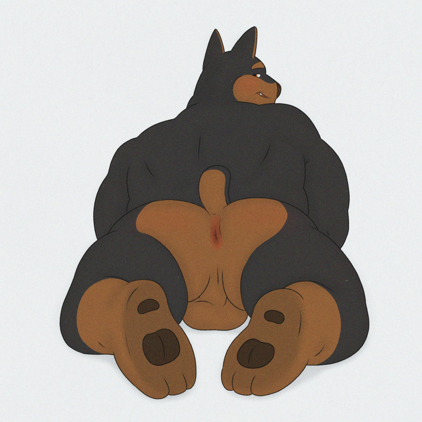 absurd_res anthro anus balls butt canid canine canis chubby_male dobermann domestic_dog genitals hi_res inkyflush male male/male mammal overweight overweight_male paws pinscher presenting presenting_anus presenting_hindquarters prince royalty slightly_chubby solo spread_butt spread_legs spreading