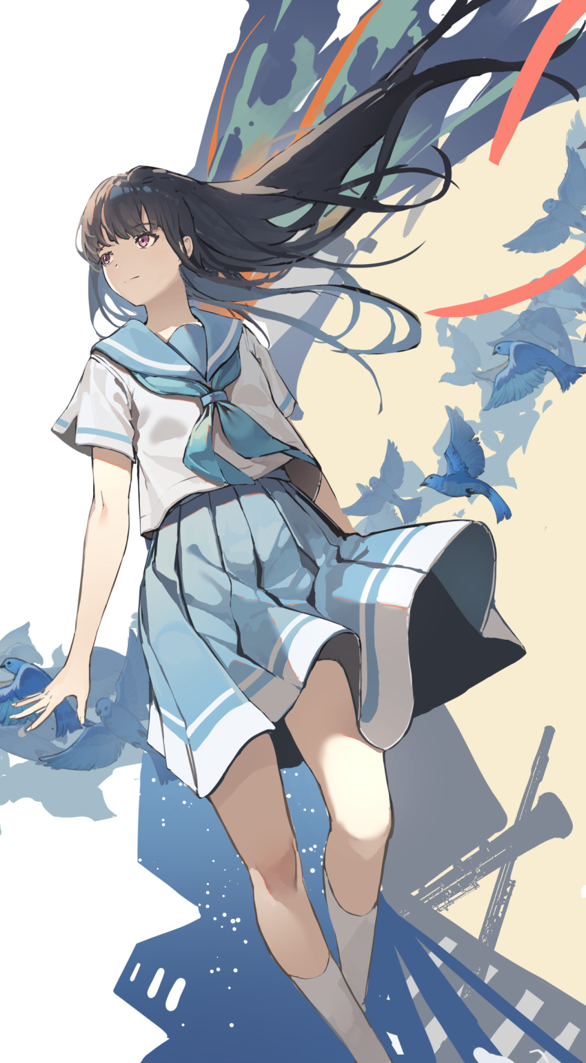 1girl bird black_hair blue_bird blue_hair blue_neckerchief blue_sailor_collar blue_skirt brown_eyes closed_mouth colored_inner_hair dot_nose floating_hair hibike!_euphonium highres light_blue_hair liz_to_aoi_tori long_hair looking_away multicolored_background multicolored_hair neckerchief sailor_collar school_uniform serafuku shirt short_sleeves skirt socks solo standing uniform white_serafuku white_shirt white_socks ye_zi_you_bei_jiao_ju_ge yoroizuka_mizore