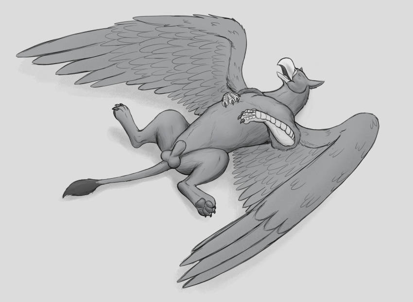 animal_genitalia avian balls beak eyes_closed feral genitals greyscale gryphon hi_res lying male monochrome mythological_avian mythology on_back sheath sleeping solo spread_legs spreading thatgryphonguy wings