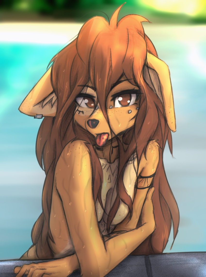 2023 anthro apogee_(tinygaypirate) blep breasts canid canine canis digital_media_(artwork) domestic_dog female female_anthro floppy_ears fur hair hi_res kemono long_hair looking_at_viewer mammal nude piercing small_breasts solo spitz swimming_pool tattoo tinygaypirate tongue tongue_out water wet wet_body wet_fur wet_hair