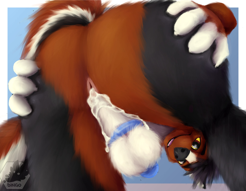 anthro bodily_fluids butt cage canid canine canis chastity_(disambiguation) chastity_cage chastity_device cum cum_inside eldingo_(artist) furryart genital_fluids hi_res male mammal solo wolf
