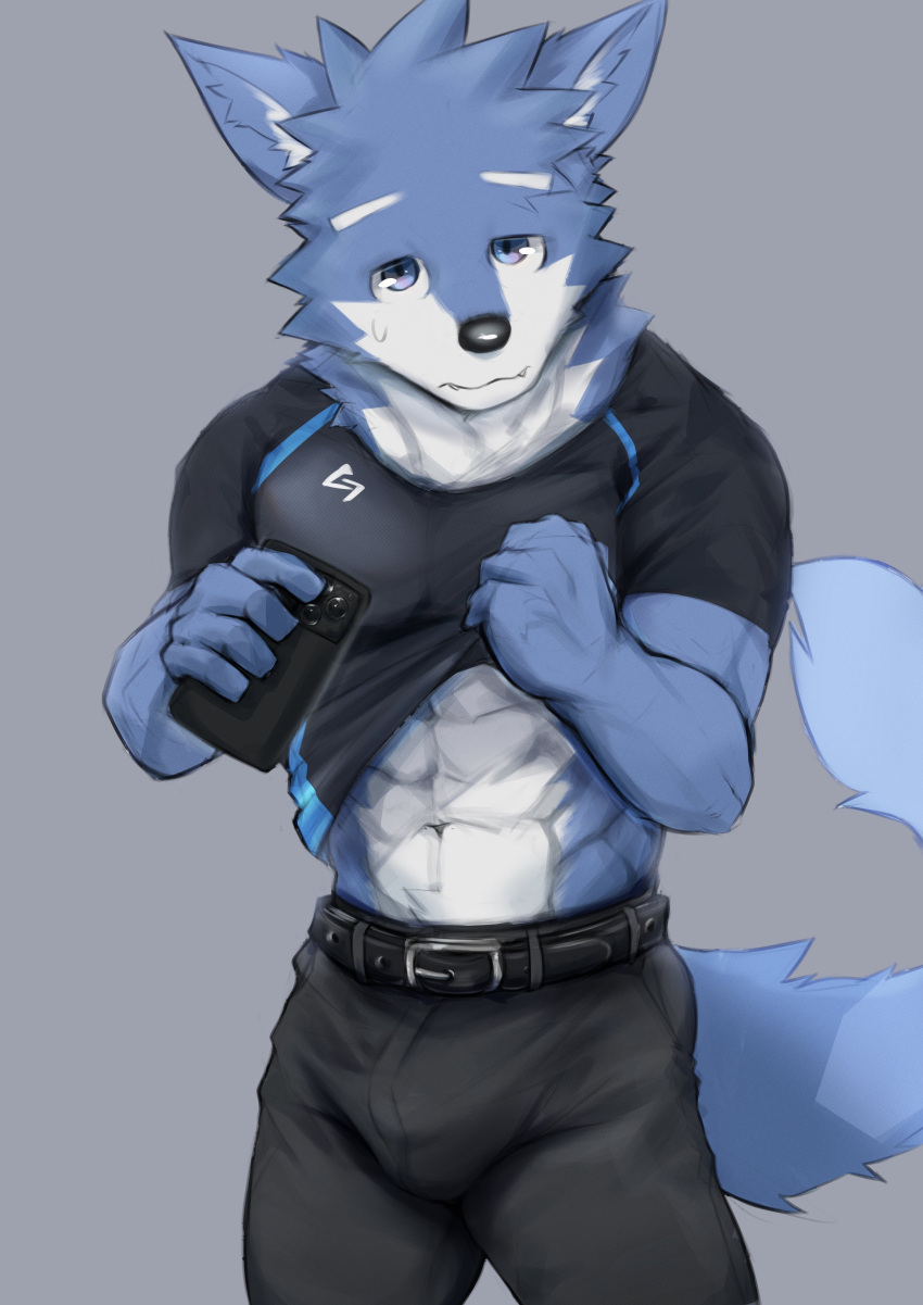 abs absurd_res anthro asleepchef blue_body blue_eyes bottomwear bulge canid clothed clothing clothing_lift hair hi_res holding_object holding_phone male mammal multicolored_body muscular muscular_male pants phone shirt shirt_lift solo topwear