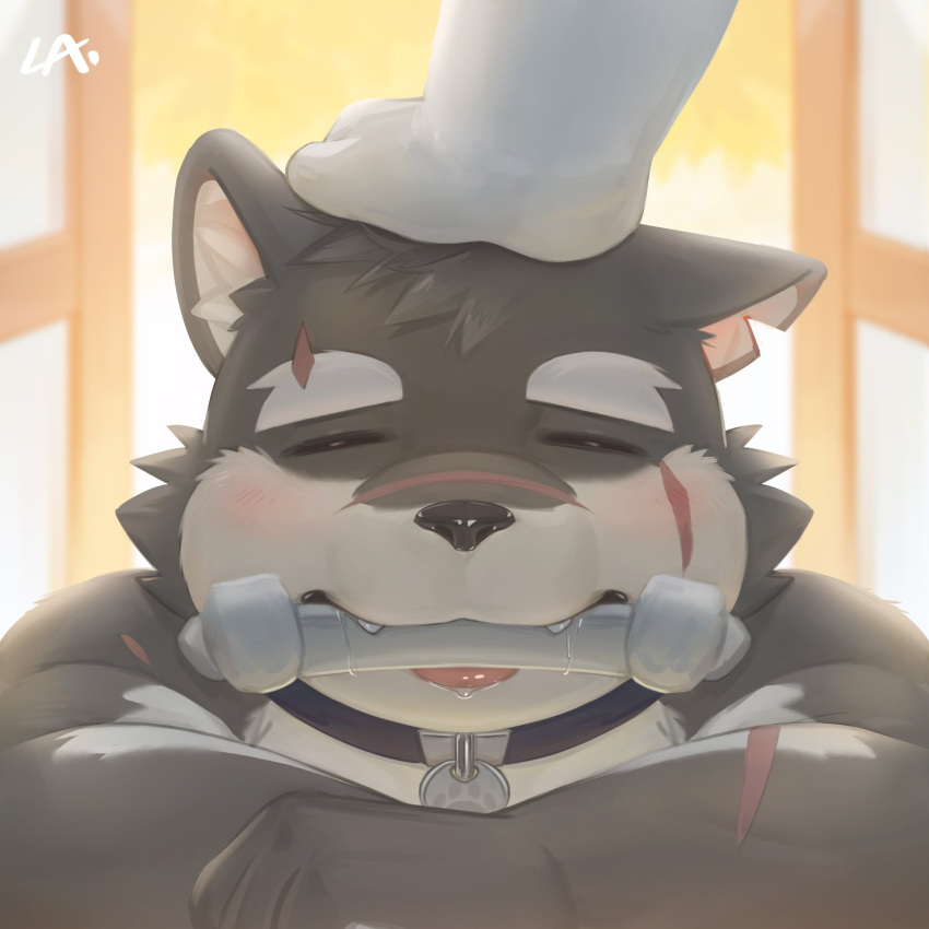 anthro bodily_fluids bone cai1448331577 canid canine canis collar collar_only digital_media_(artwork) domestic_dog drooling hi_res lifewonders male mammal moritaka nude petplay petting_head roleplay saliva tokyo_afterschool_summoners