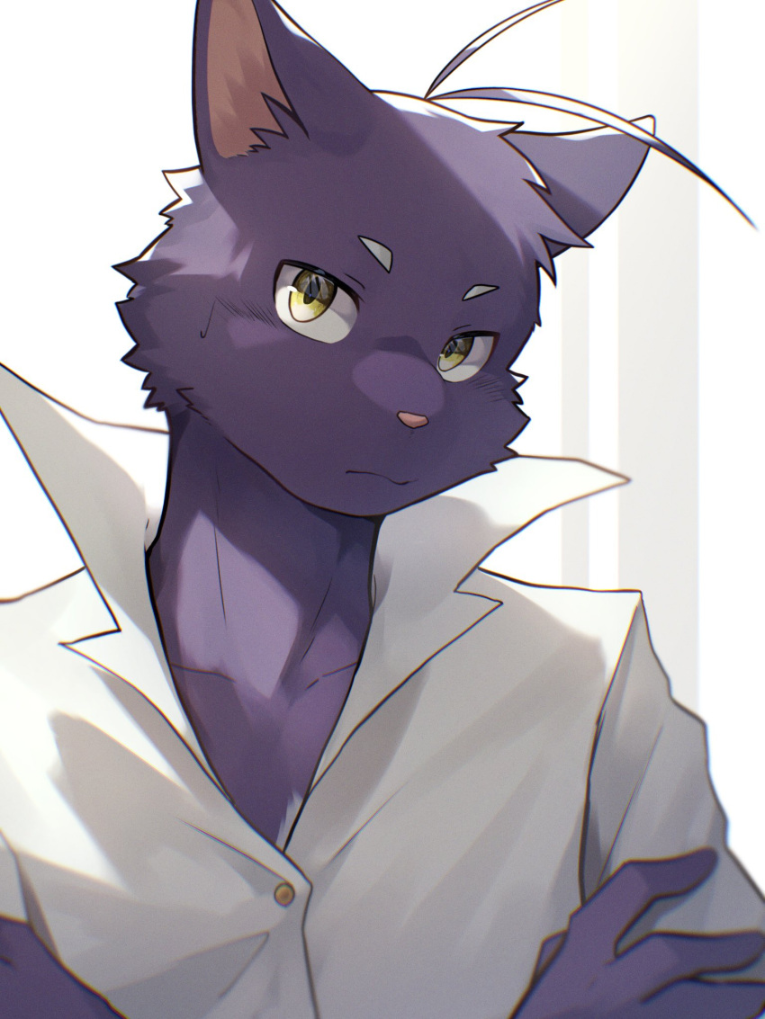 2023 ahoge anthro cheek_tuft clothing colored crossed_arms domestic_cat dress_shirt facial_tuft felid feline felis fur hair hi_res male mammal monotone_body monotone_fur morenatsu pink_nose ponzu_tas purple_body purple_fur shin_(morenatsu) shirt simple_background solo topwear tuft white_background white_clothing white_dress_shirt white_topwear yellow_eyes