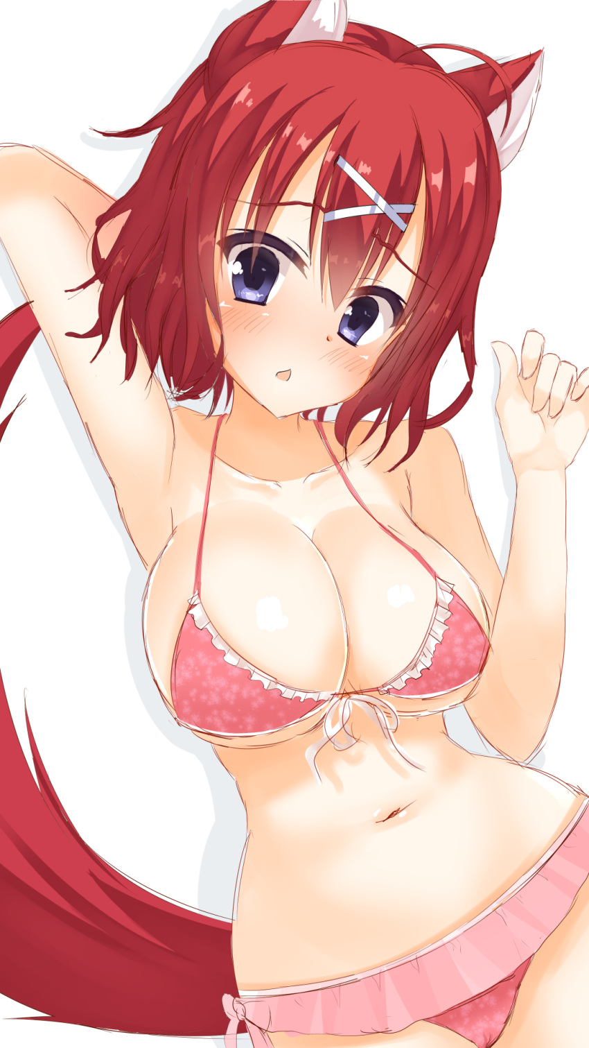 1girl ahoge amairo_islenauts animal_ears arm_up armpits bikini blue_eyes blush breasts chestnut_mouth cleavage clip_studio_paint_(medium) collarbone commentary_request curvy eyes_visible_through_hair frilled_bikini frills furrowed_brow hair_between_eyes hair_ornament hand_up head_tilt highres large_breasts looking_at_viewer makochan42 masaki_gaillard medium_hair navel open_mouth presenting_armpit red_bikini red_hair red_tail shiny_skin shy simple_background solo stomach swimsuit tail white_background wolf_ears wolf_tail x_hair_ornament