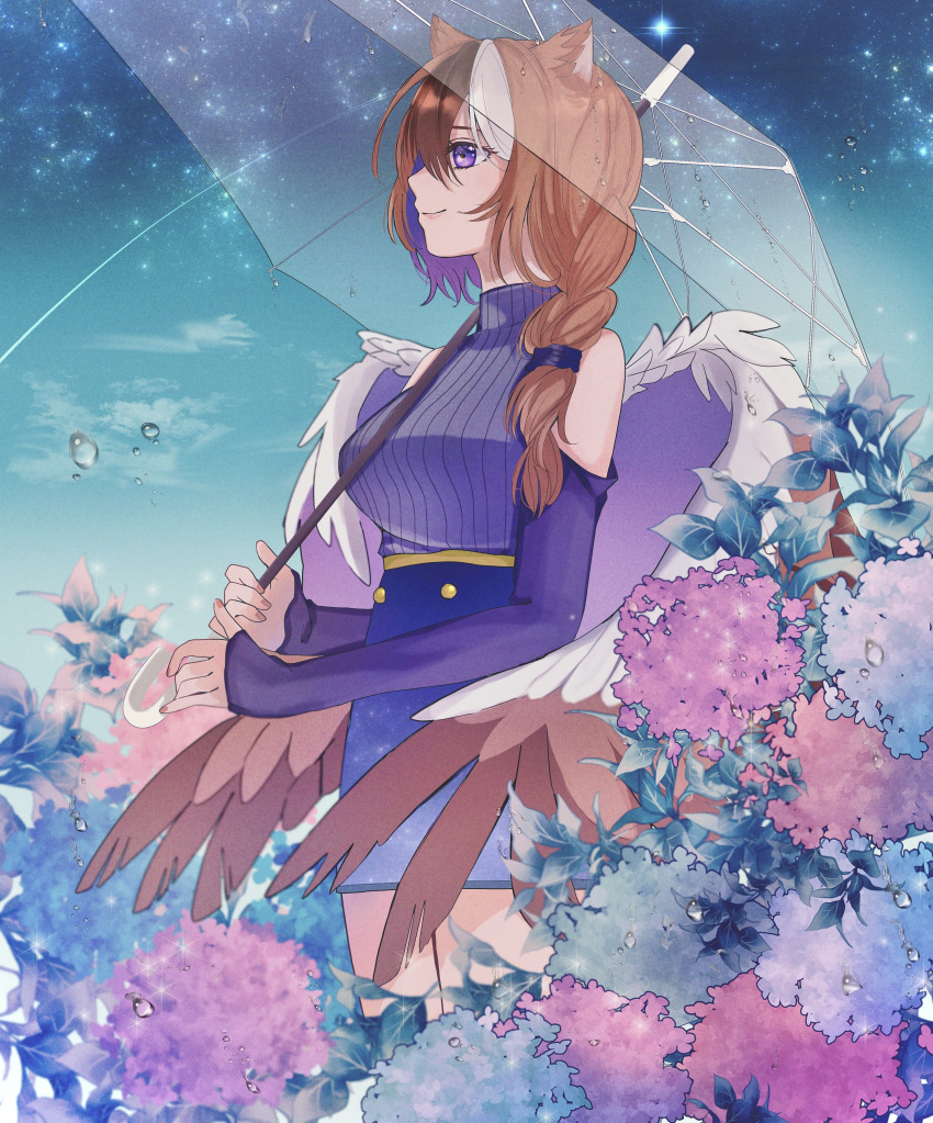1girl absurdres animal_ears bare_shoulders bird_wings blue_background blue_skirt blue_sky braid brown_hair brown_wings closed_mouth clothing_cutout colored_inner_hair commission estelle_(cieluscian) feathered_wings flower hair_over_one_eye hands_up high-waist_skirt highres holding holding_umbrella hydrangea kuze_0131 long_hair long_sleeves looking_to_the_side low-tied_long_hair multicolored_hair night night_sky original outdoors over_shoulder pink_flower plant purple_eyes purple_flower purple_hair purple_sweater purple_wings second-party_source shooting_star shoulder_cutout side_braid skeb_commission skirt sky sleeveless sleeves_past_wrists smile solo standing star_(sky) starry_sky streaked_hair sweater transparent transparent_umbrella turtleneck turtleneck_sweater umbrella water_drop white_hair white_wings wings