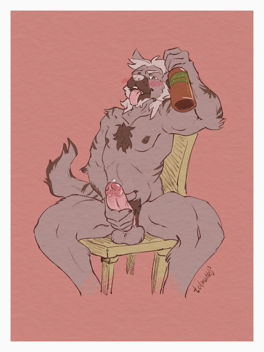 5_fingers alcohol alcoholic_drink anthro balls beverage blush blush_lines bodily_fluids body_hair bottle canid canine chair chest_hair claws container drunk fingers foreskin furniture genital_fluids genitals hand_on_penis hi_res humanoid_genitalia humanoid_penis hyena leaking leaking_precum male mammal masturbation nipples nude on_chair penis precum pubes simple_background sitting sitting_on_chair sketch solo substance_intoxication to(matto)3 tongue tongue_out
