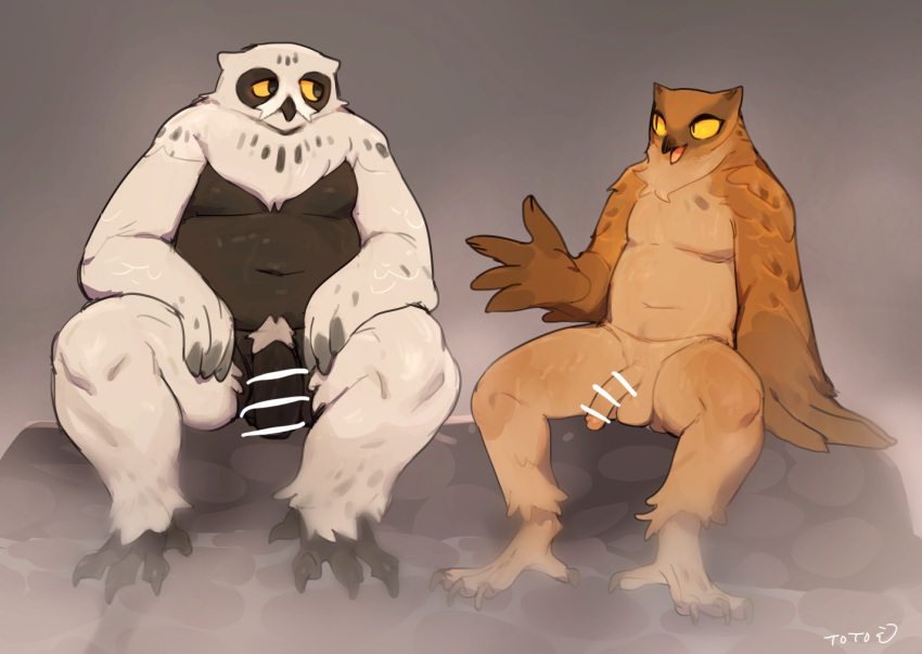 anthro avian avian_feet balls beak bebebebebe bird black_body black_feathers brown_body brown_feathers censor_bar censored censored_genitalia censored_penis chubby_anthro chubby_male countershading duo eye_contact feathers flaccid genitals humanoid_genitalia humanoid_penis ineffective_censorship looking_at_another male navel nude owl penis rock signature simple_background sitting spread_legs spreading talons white_body white_feathers winged_arms wings