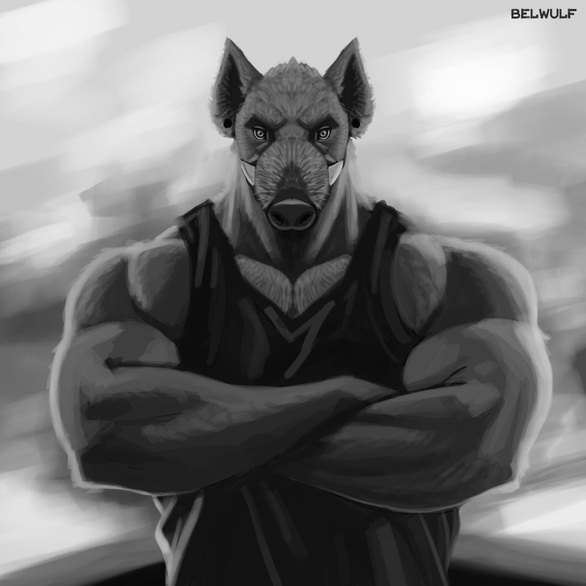 2023 absurd_res anthro artist_name belwulf biceps clothed clothing crossed_arms digital_media_(artwork) eyebrows fur greyscale hi_res looking_at_viewer male mammal monochrome muscular muscular_anthro muscular_male pecs pose shirt solo suid suina tank_top topwear tusks were wereboar weresuid weresuina