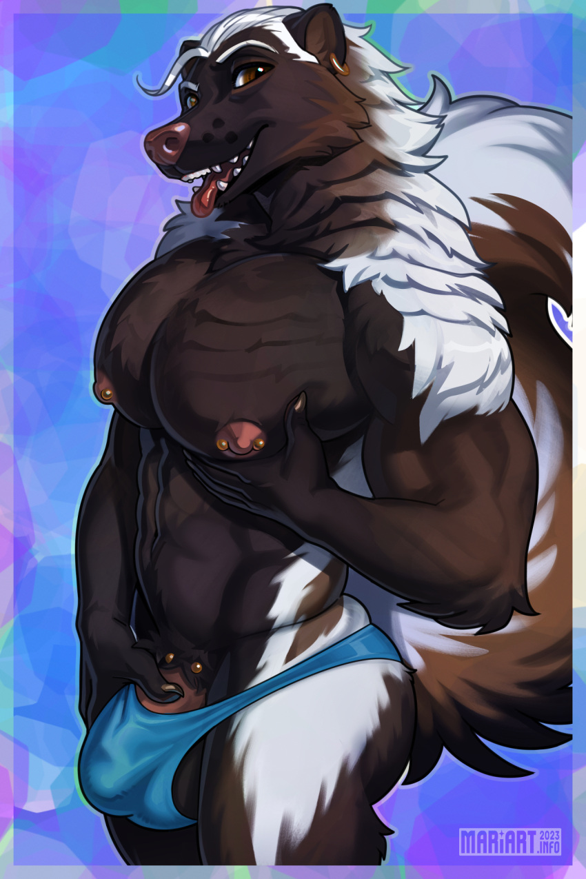 2023 abs anthro balls barazoku big_pecs biped black_balls black_body black_fur blue_clothing blue_underwear brown_body brown_eyes brown_fur bulge clothing digital_media_(artwork) fur genital_piercing genitals hand_on_pec hi_res looking_at_viewer male mammal mariart mephitid multicolored_body multicolored_fur muscular muscular_anthro muscular_male nipples pecs penis penis_piercing piercing pink_nose skunk solo underwear white_body white_fur