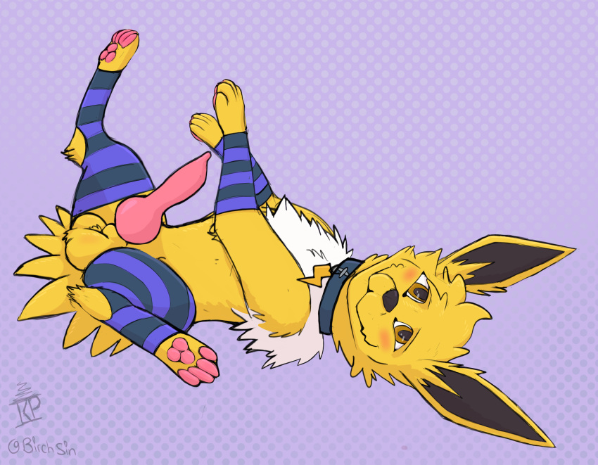 absurd_res animal_genitalia balls birchsin blush canid canine clothing collar digital_media_(artwork) eeveelution erection feral fur generation_1_pokemon genitals hi_res jolteon knot legwear male mammal nintendo penis pokemon pokemon_(species) simple_background solo stockings