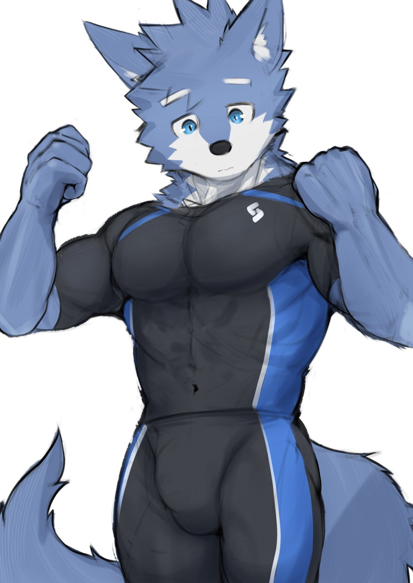 abs anthro asleepchef biceps blue_body blue_eyes bottomwear bulge canid clothing hair hi_res male mammal multicolored_body muscular muscular_male pants pecs shirt simple_background solo standing tail tight_clothing topwear white_background yakumo_(asleepchef)