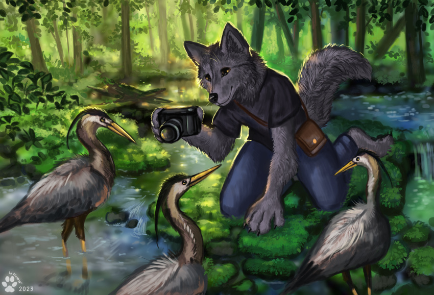 4_toes 5_fingers ambiguous_gender anthro beak black_nose canid canine canis clothed clothing day detailed_background feet fingers flashw forest grass group male mammal moss outside plant smile srtork toes tree wolf