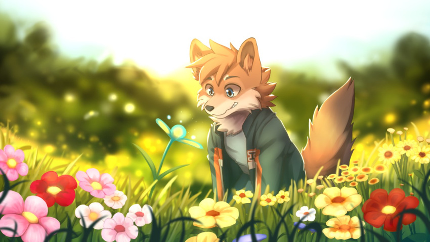 16:9 anthro blue_eyes blurred_background canid canine canis cheek_tuft clothed clothing day domestic_dog facial_tuft flower fur glistening glistening_eyes grass green_clothing green_jacket green_topwear grin hair inner_ear_fluff jacket kuttoyaki male mammal orange_body orange_fur orange_hair orange_inner_ear_fluff orange_tail outside pink_flower plant red_flower smile solo tail topwear tuft widescreen yellow_flower