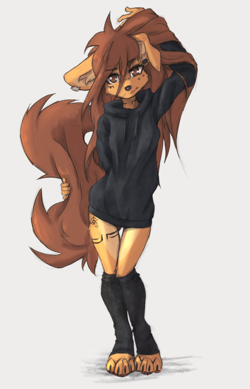 2023 4_toes absurd_res anthro apogee_(tinygaypirate) barefoot breasts canid canine canis claws clothed clothing digital_media_(artwork) domestic_dog feet female female_anthro floppy_ears footwear full-length_portrait fur hair hi_res hoodie kemono knee_highs legwear long_hair looking_at_viewer mammal pantsless paws piercing portrait small_breasts socks solo spitz tail tattoo tinygaypirate toe_claws toeless_footwear toeless_socks toes topwear