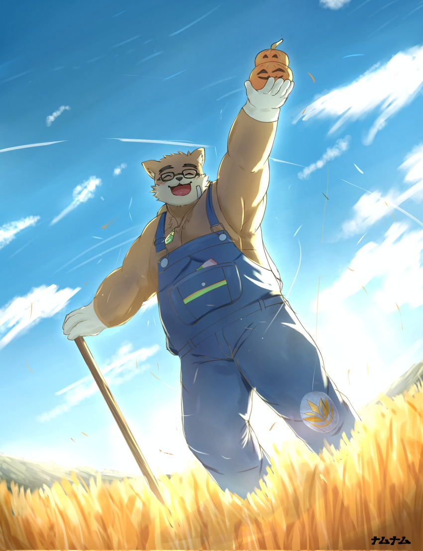 anthro bear belly brown_body brown_fur clothing eyewear farmer food fruit fur glasses gloves handwear harumuname hi_res jack-o'-lantern lifewonders male mammal musclegut outside overalls pecs plant pumpkin rake solo tokyo_afterschool_summoners tools volos