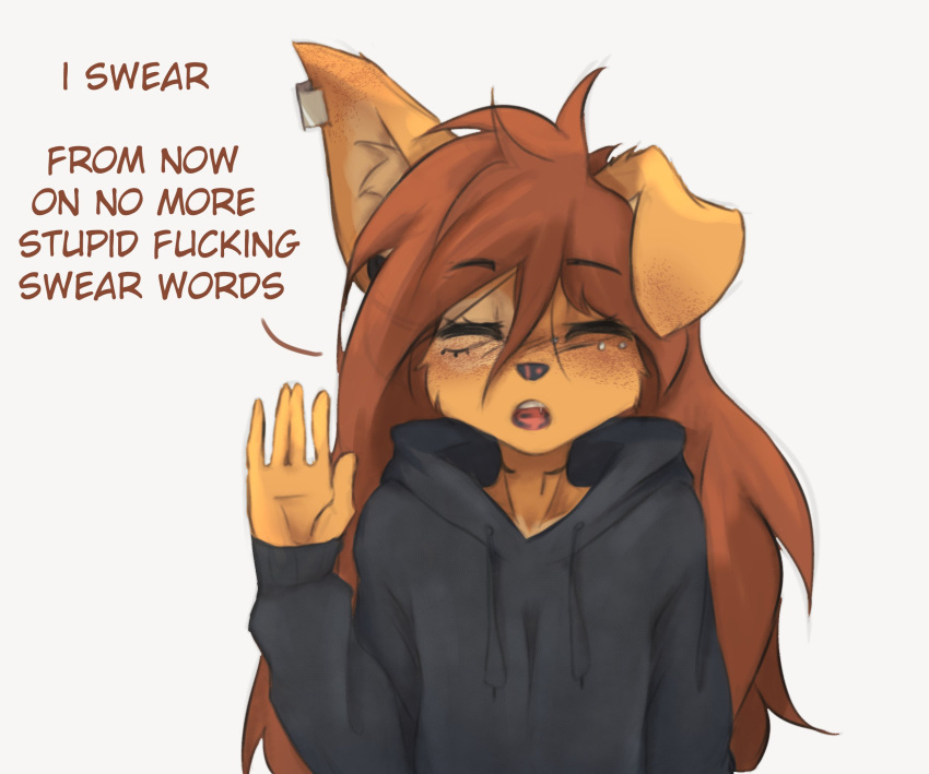 2023 5_fingers anthro apogee_(tinygaypirate) brown_hair canid canine canis clothed clothing dialogue domestic_dog ear_piercing english_text eye_piercing eyes_closed female fingers hair hi_res hoodie inner_ear_fluff long_hair mammal one_ear_up open_mouth piercing raised_hand simple_background solo text tinygaypirate topwear tuft white_background