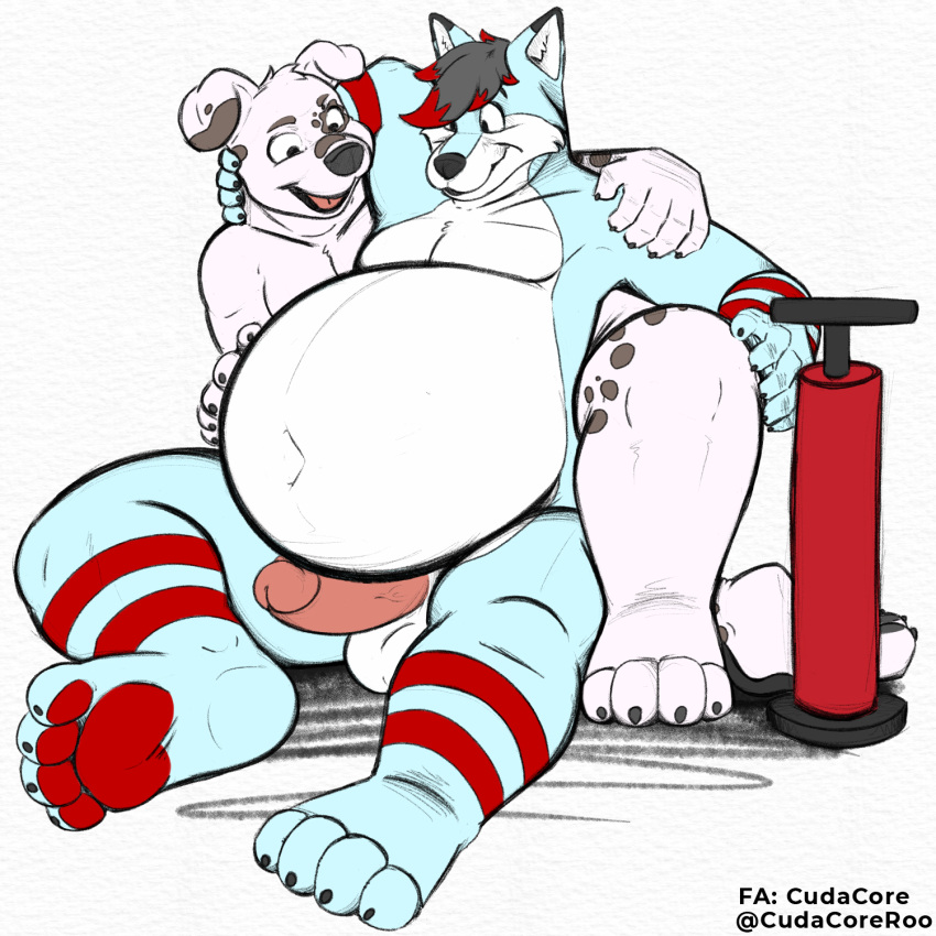 air_pump balls belly belly_inflation big_belly canid canine canis cudacore dalmatian domestic_dog erection feet fox genitals hi_res inflation innie_navel male mammal pascal_(cudacore) paws penis radix_(character) toes