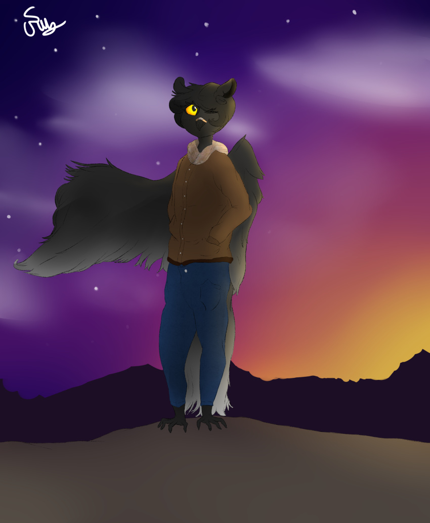 absurd_res animal_humanoid anthro avian avian_humanoid bird bird_humanoid black_body black_hair bottomwear clothing denim denim_clothing feathered_wings feathers hair hi_res humanoid jacket jeans looking_up male one_eye_closed owl owl_humanoid pants rusoide sky solo star starry_sky sunset tail_feathers topwear wings yellow_eyes