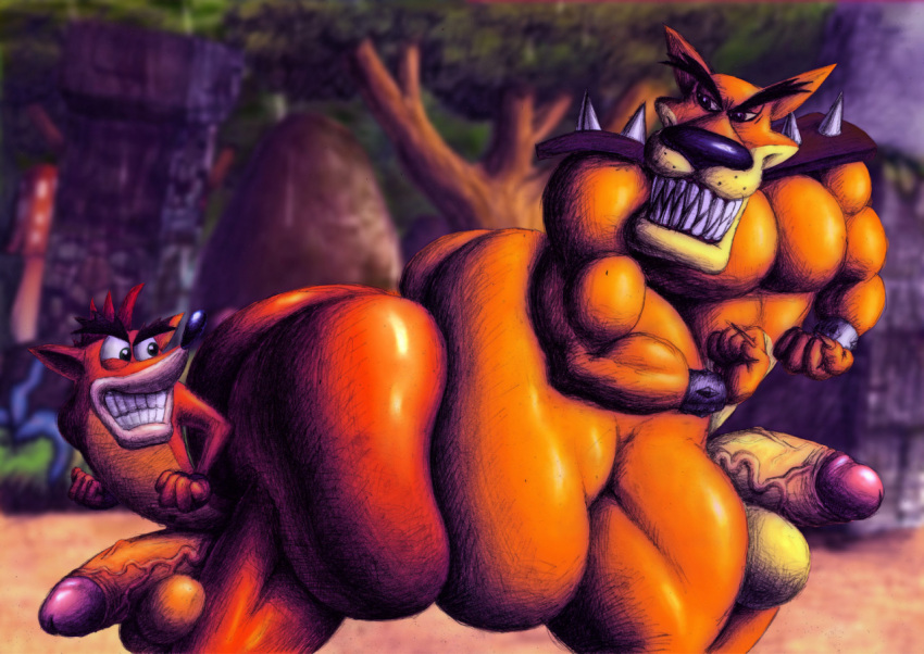 activision anthro bandicoot big_butt big_penis bubble_butt butt butt_frottage butt_rubbing crash_bandicoot crash_bandicoot_(series) dasyuromorph duo flexing frottage genitals huge_butt huge_penis hyper hyper_butt hyper_genitalia hyper_penis male male/male mammal marsupial muscular nude pecs penis pushing sex size_difference ten-kun thylacine tiny_tiger traditional_media_(artwork)