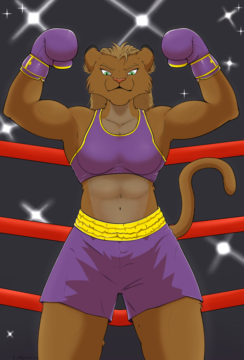 anthro battle better_version_at_source box boxing_gloves clothing container felid female fighting_ring fuzzylynx handwear hi_res lion mammal muscular pantherine solo