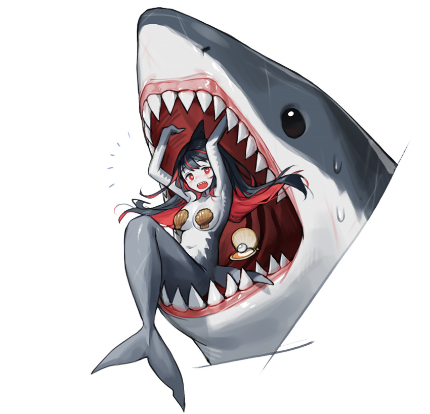 1girl arms_up black_hair breasts bright_pupils clam floating_hair gem highres knees_up looking_at_viewer medium_breasts mermaid monster_girl multicolored_hair navel original pearl_(gemstone) red_eyes red_hair rinotuna shark shark_fin shark_girl sharp_teeth shell shell_bikini simple_background solo sweat teeth two-tone_hair white_background white_pupils