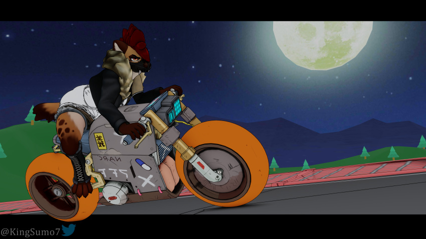16:9 3d_(artwork) 4k absurd_res anthro biker biker_girl biker_jacket blender_(software) boots bottomwear canid canine cel_shading clothed clothing digital_media_(artwork) female fingers footwear hair hi_res hyena jacket king_sumo_(artist) leather leather_clothing leather_jacket leather_topwear mammal mask motorcycle outside riding riding_motorcycle shaded shirt shorts simple_background solo tail topwear vehicle watermark widescreen