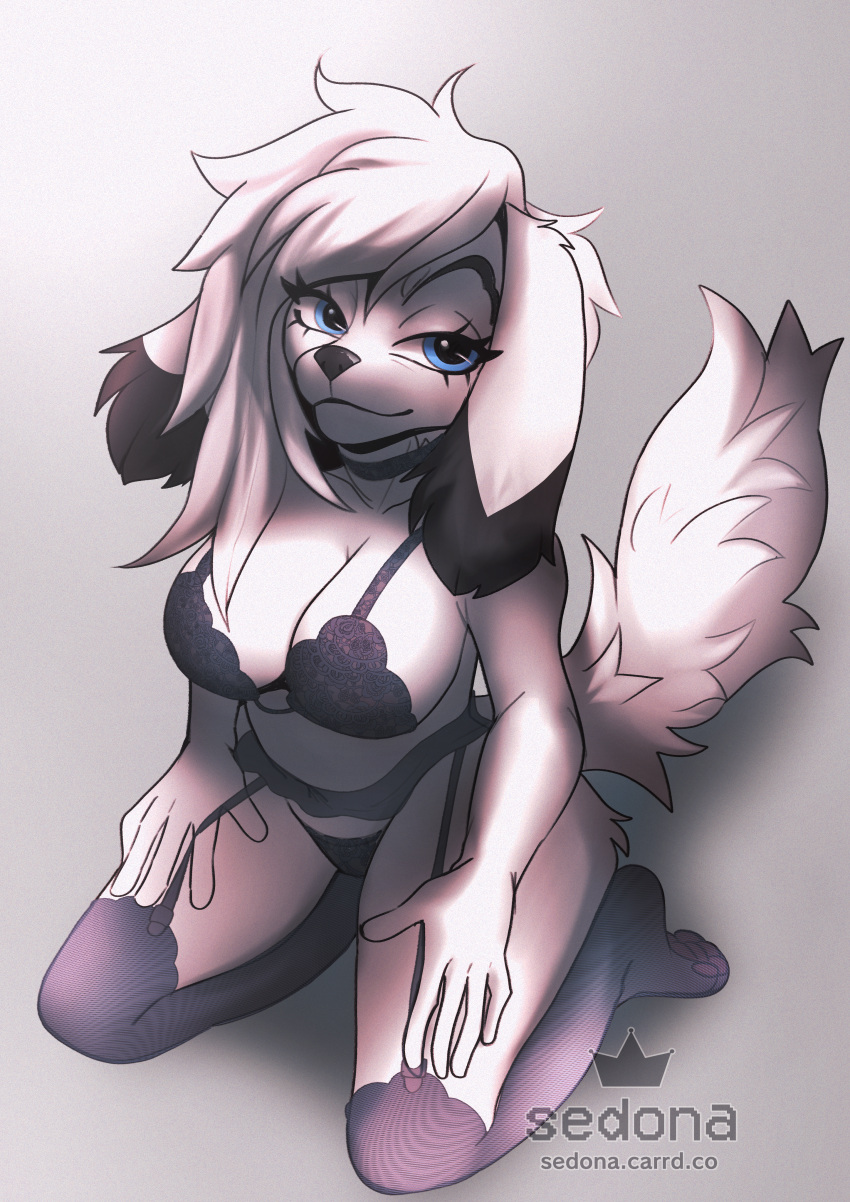 absurd_res anthro canid canine canis choker clothing digital_media_(artwork) domestic_dog female fur garter_belt garter_straps hi_res jewelry legwear lingerie louijanaa mammal necklace panties pantyhose shaded solo solo_focus stockings underwear white_body white_fur