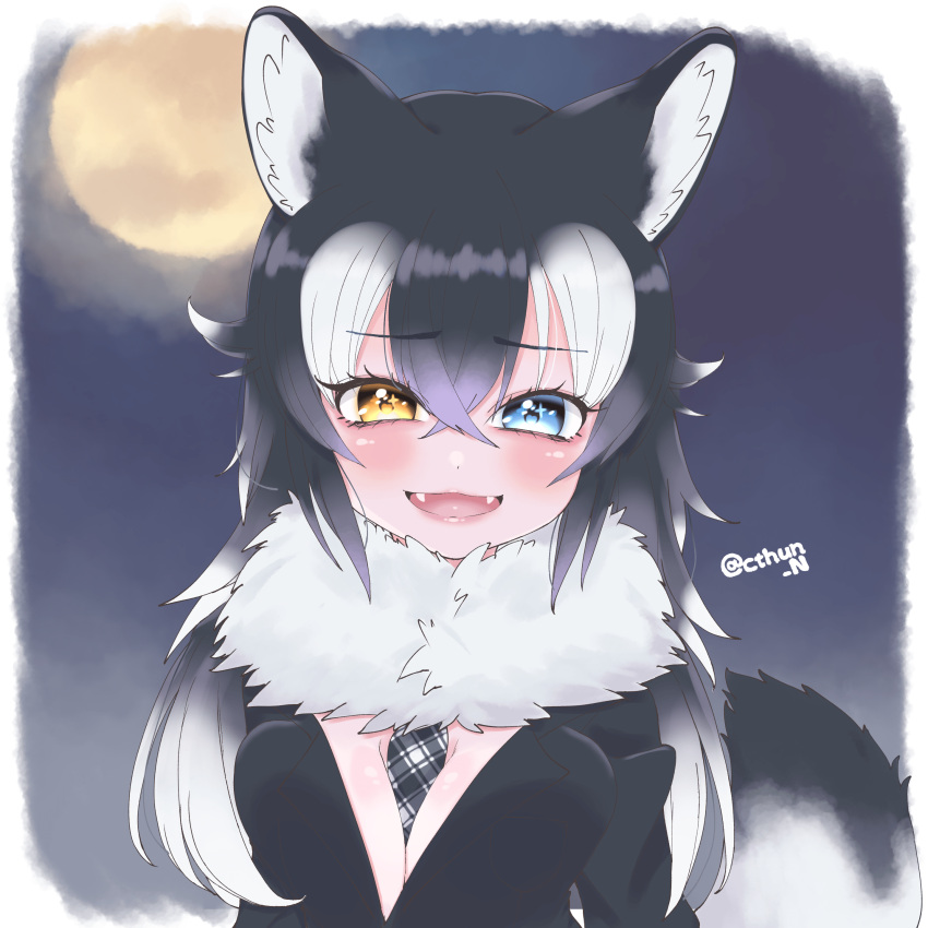 1girl absurdres animal_ears black_hair blazer blue_eyes breasts cthun_n extra_ears fang full_moon grey_wolf_(kemono_friends) heterochromia highres jacket kemono_friends large_breasts long_hair looking_at_viewer moon multicolored_hair necktie night night_sky scarf simple_background sky solo tail two-tone_hair upper_body white_hair wolf_ears wolf_girl wolf_tail yellow_eyes