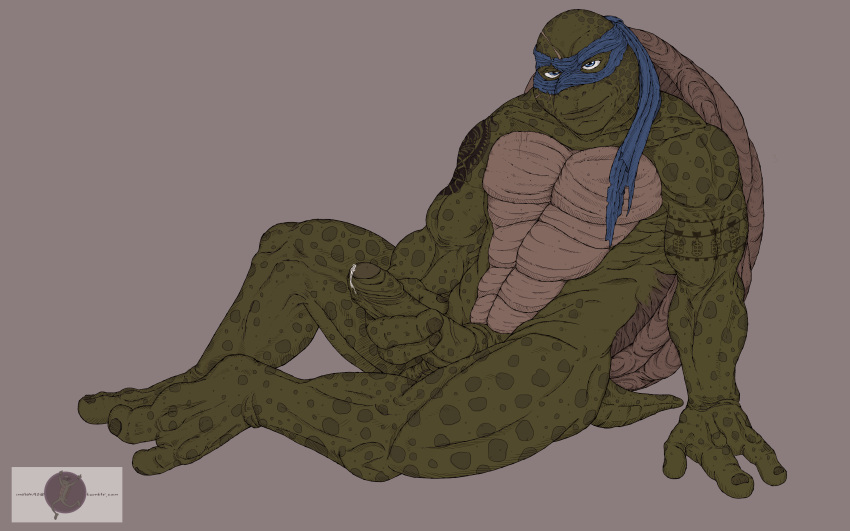 abs absurd_res anthro balls biceps genitals green_body green_skin hi_res leonardo_(tmnt) male mask masturbation melek90 muscular muscular_anthro muscular_male pecs penis reptile scalie shell solo teenage_mutant_ninja_turtles teenage_mutant_ninja_turtles_(2014) turtle turtle_shell vein veiny_penis